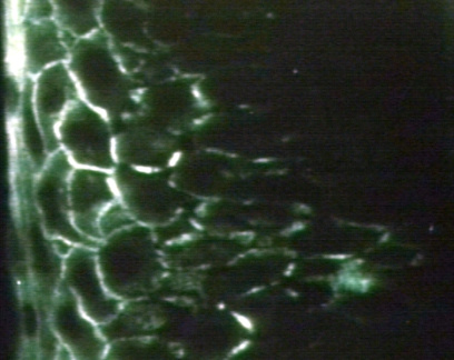 00246182