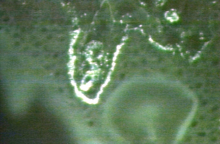 00246297