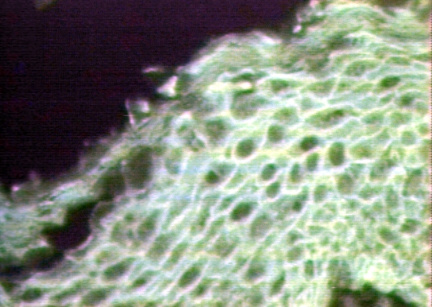 00246298