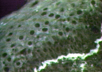 00246300