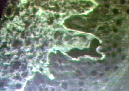00246299
