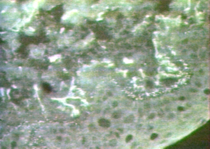 00246301
