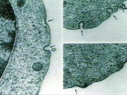 00246430