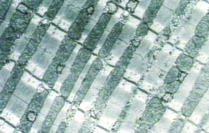 00246434