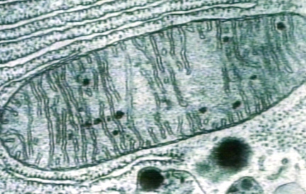 00246436