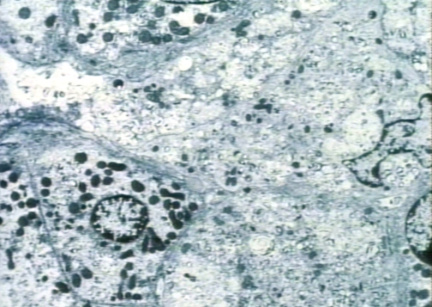 00246439