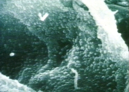 00246462