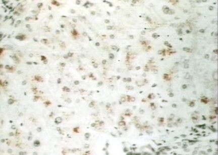 00246531