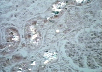 00246534