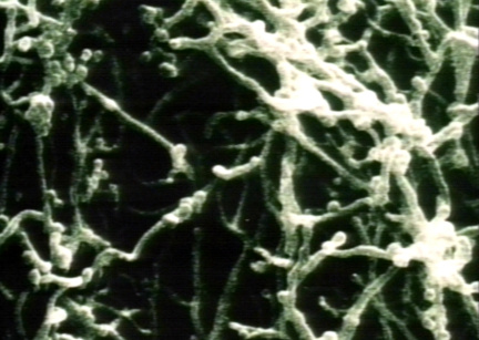 00246548
