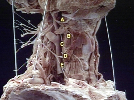 00246784