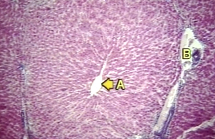 00248640