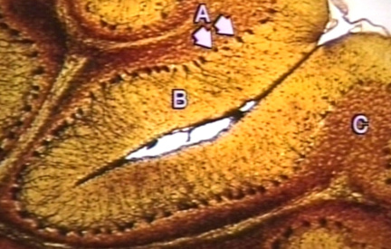 00248660