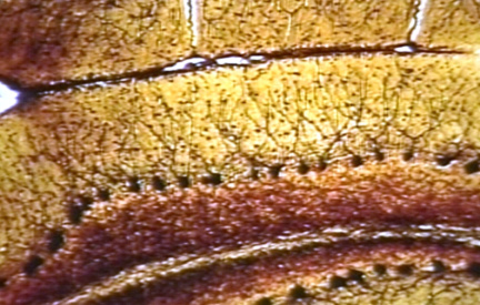00248661