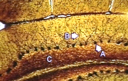 00248662