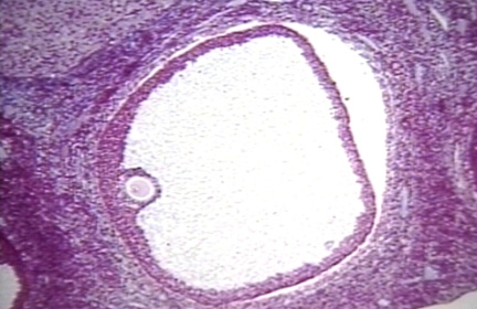 00248665