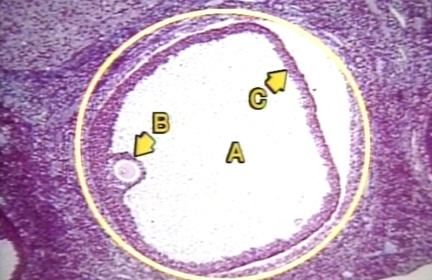 00248666