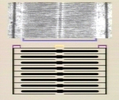 00248748