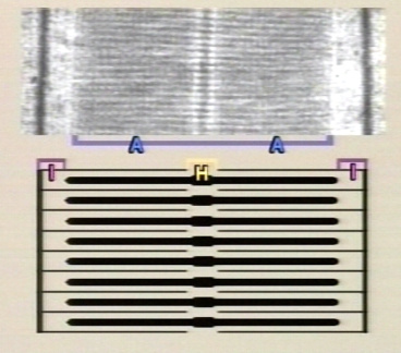 00248749