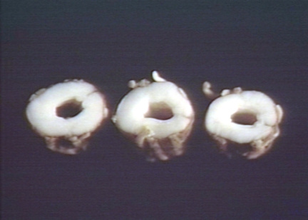 00249632