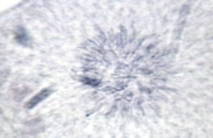 00250404