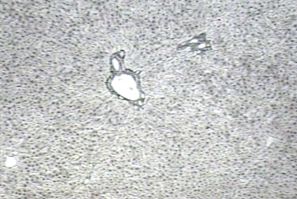 00250478