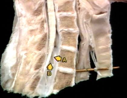 00250718