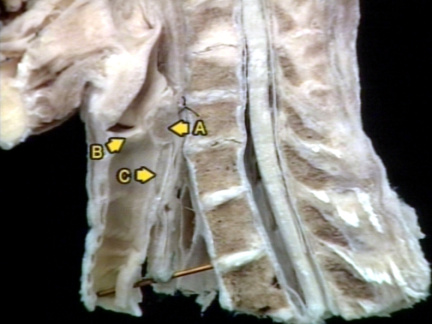 00250791