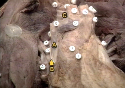 00250972