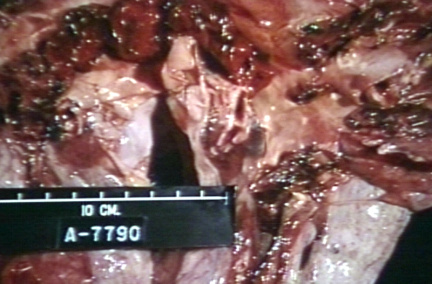 00253259