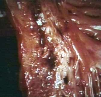 00253282