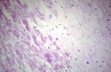 00253290